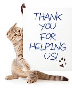 thankyoucat